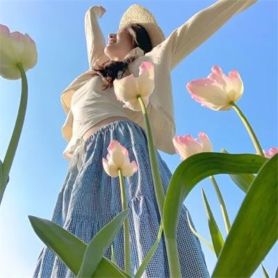 兰闺伴侣